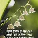 유머바람난여자의특징ㅡ 애인 이란 두글자 ㅡ 집에 있기 싫어하고 ㅡ 밖으로 나돈다ㅡ 土요일과 日요일은 ㅡ 무조건 나간다ㅡ 이미지