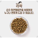 일신약업사 네이버블로그