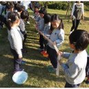 우포의 숲속 이미지