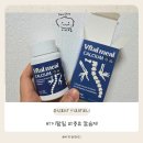 야행성 | 크레스티드게코 키우는 집사라면 꼭 써봐야 할 칼슘제 추천! 디어렙 야행성 바이탈밀 칼슘제 후기