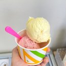 큐사랑 송산그린시티점 | 화성 새솔동 뜨끈한 설렁탕 한그릇 뚝딱 [한촌설렁탕 송산그린시티점] +내돈내산 솔직후기