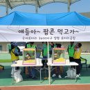 양평 어린이 대축제 물맑은양평종합운동장 방문 후기