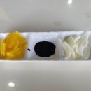 서포해물