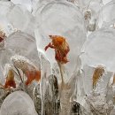 지티행정사사무소 이미지