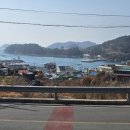 통영황금바다