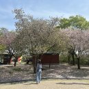 스튜디오옵티크 이미지