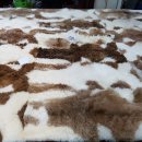 수선세탁 이미지