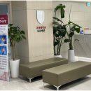 서현바른정형외과의원 이미지