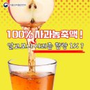 디제이 비엔에프
