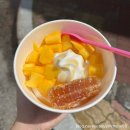 요아정남구 | 울산 남구 삼산동 요아정 요거트 아이스크림 내돈내산 솔직후기