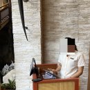 리틀짐 태권스쿨 | 파타야 센타라 미라지 리조트 조식 후기(오아시스 뷔페 내돈내산)