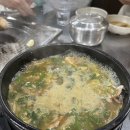 꿀먹은 돼지