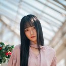 스타일펫츠 이미지