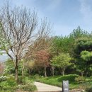 THE쉼(더쉼) 이미지