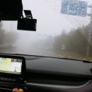 펜션C풀하우스 | [경주] 라인뷰풀빌라펜션C202호