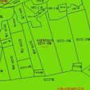 돌배나무 민박 이미지