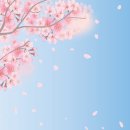 리안헤어 독산시티렉스점