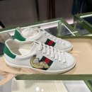 에이스 캣 이미지