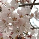 지상어린이공원 공원화장실 이미지