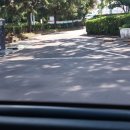 제주 삼성혈 이미지