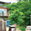 남산농장 이미지