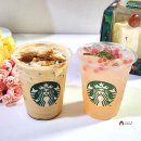 핑크팝 | 스타벅스 윈터 스카치 바닐라 라떼 핑크팝 캐모마일 릴렉서 신상 음료 후기