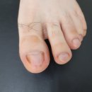 레푸스앤두두뷰티 이미지