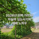 하늘마 심는시기