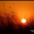 하나에 희망의원 이미지