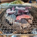 참갈매기뽈살 이미지