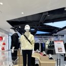 케이스위스 KSWISS 코네호 운동화 추천 후기(+부산 롯백 매장)