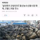 &#39;설대목이 코앞인데&#39; 울산농수산물시장 화재, 건물 1개동 전소 이미지