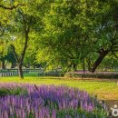 내몸편안한의원 이미지