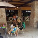 피지푸드팰리스 이미지