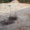 너래농원 이미지