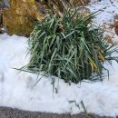 대전1리 마을회관 이미지