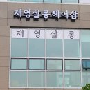 잔디색