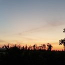 수당농장 이미지