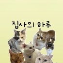 집사의 하루 건대점 이미지