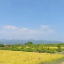 대학로(압량) 이미지