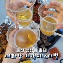 울산 성남동 태화강 치맥페스티벌, 마두희축제 후기