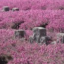 해양공원 D동 이미지