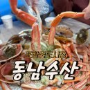 포항 죽도시장 대게 맛집 동남수산, 초장집 대게 풀코스 후기