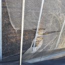 보수농장 이미지