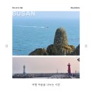 하용 | 부산여행 1박 2일 코스 💚1일차💚 서면·깡통시장·해변열차 코스 솔직후기 (부산맛집)