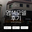 6040 | 준오헤어 강남역4호점 헤어모델 후기｜밝은 머리 애쉬브라운 톤다운 염색