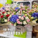 슈올즈 남대문시장점 | 남대문 꽃시장 위치 영업시간 주차 카네이션 꽃바구니 꽃다발 작약 후기
