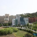 경상북도 광역치매센터 이미지