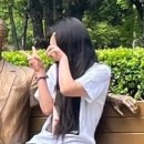 노무현 추도식날 봉하 기념관서 ‘일베 손가락’ 인증샷 남긴 젊은 남녀 이미지