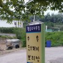 손맛이 느껴지는 문산 보리밥맛집(황금소나무)